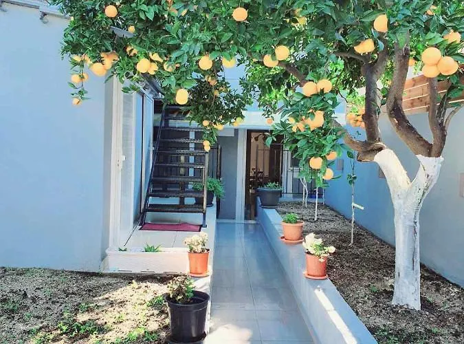 Evia's - New In Town! * Zakynthos